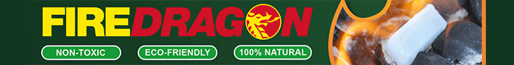 FireDragon Banner advert