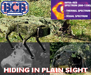BCB Hiding in plain sight MPU advert